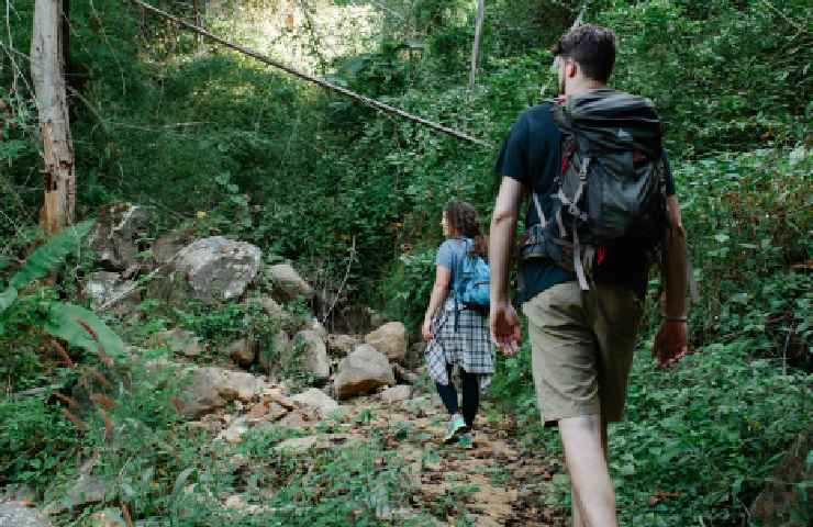 Passeggiare nel verde è una valida alternativa all'uso della tecnologia